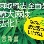 b-nagayoshi